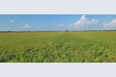 Lot 4 1293 Mc Donald Road, Eagle Lake, TX 77434 - Photo 6