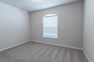 2702 Ruby Laurel Dr, Iowa Colony, TX 77583 - Photo 14