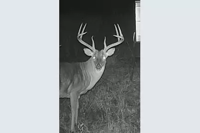 Tbd Pr 1350, Centerville, TX 75833 - Photo 34