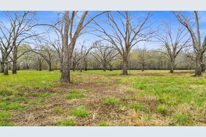 Tbd Pr 1350, Centerville, TX 75833 - Photo 14