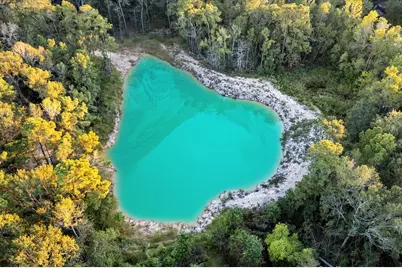 11415 Magnolia Bend Drive, Conroe, TX 77302 - Photo 4