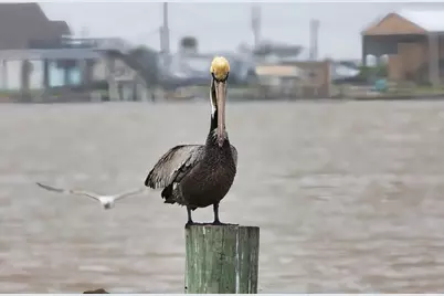 1288 County Road 297, Sargent, TX 77414 - Photo 16