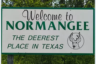 17046 County Road 457, Normangee, TX 77871 - Photo 6