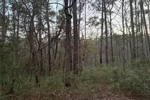 94 Green Tree Dr, Coldspring, TX 77331 - Photo 1