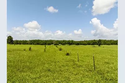 0 Lakeland Road, Hillister, TX 75979 - Photo 8