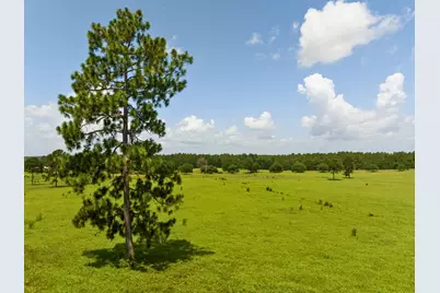 0 Lakeland Road, Hillister, TX 75979 - Photo 6