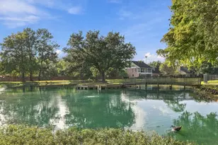 166 Old Bridge Lake, Houston, TX 77069 - Photo 46
