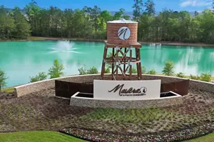 16686 Sterling Clf St, Conroe, TX 77302 - Photo 40