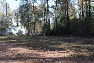 0 Pin Tail, Coldspring, TX 77331 - Photo 1