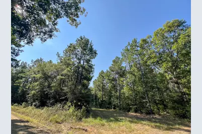 T-4 Cr 2150, Woodville, TX 75979 - Photo 6