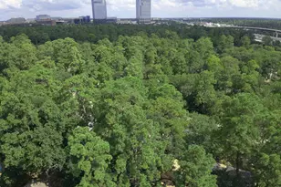 2 Rolling Mill Ln, The Woodlands, TX 77380 - Photo 8