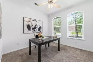 19 Fortuneberry Pl, The Woodlands, TX 77382 - Photo 18