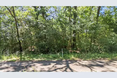 Tbd Woodland Drive, Livingston, TX 77351 - Photo 12