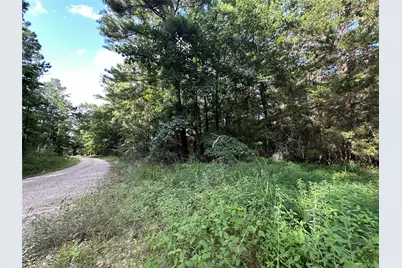 Tbd Dickens Loop, Livingston, TX 77351 - Photo 6