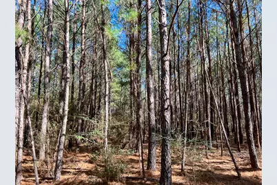 000 Union Springs Rd, Corrigan, TX 75939 - Photo 10