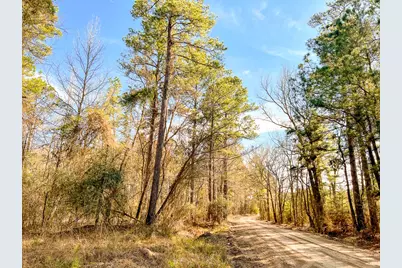 000 Union Springs Rd, Corrigan, TX 75939 - Photo 12