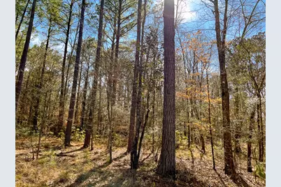 000 Union Springs Rd, Corrigan, TX 75939 - Photo 6