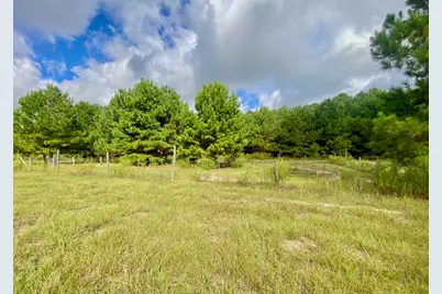 644 Fm 2968, Grapeland, TX 75844 - Photo 22