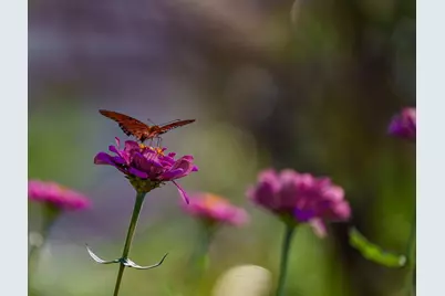 T-12 Providence Road, Calvert, TX 77837 - Photo 18