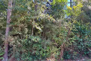 Lot 1064 Royal Pines Dr, Conroe, TX 77303 - Photo 6