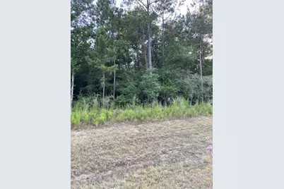 228 Windmill Road, New Waverly, TX 77358 - Photo 4