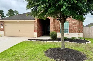 20318 Sir Penguin Dr, Hockley, TX 77447 - Photo 22