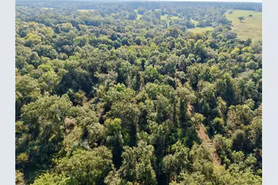 300 Buckhorn Creek Trail, Crockett, TX 75835 - Photo 8
