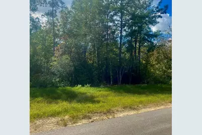 15629 Forest Knoll Road, Willis, TX 77378 - Photo 2