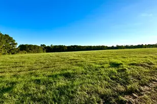 T-1 Hoke Rd, Richards, TX 77873 - Photo 20