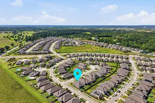 1233 Antelope Passing Dr, Montgomery, TX 77316 - Photo 46