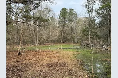 0 Old Hwy 105 E, Cleveland, TX 77327 - Photo 2