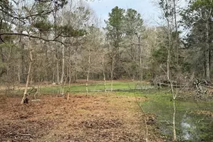 0 Old Hwy 105 E, Cleveland, TX 77327 - Photo 2