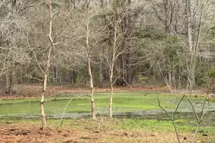 0 Old Hwy 105 E, Cleveland, TX 77327 - Photo 4