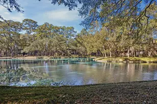 259 Litchfield Ln, Houston, TX 77024 - Photo 22