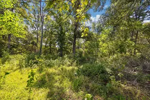 17050 Marie Vlg Dr, Conroe, TX 77306 - Photo 32