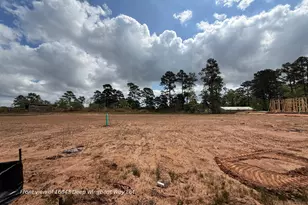 16843 Deep Wingbeat Way, Magnolia, TX 77354 - Photo 12