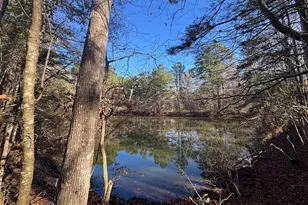 2080 Co Rd 1100, Woodville, TX 75979 - Photo 1