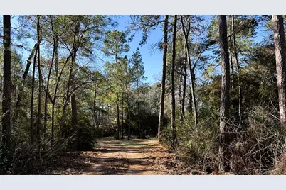 83 Ac Nichols-Sawmill Rd, Magnolia, TX 77355 - Photo 10