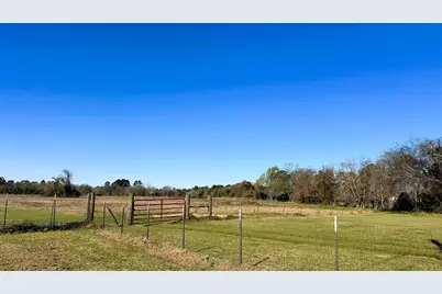 83 Ac Nichols-Sawmill Rd, Magnolia, TX 77355 - Photo 14