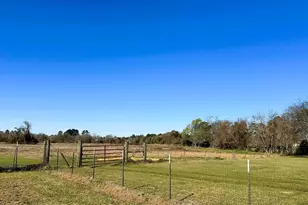 83 Ac Nichols-Sawmill Rd, Magnolia, TX 77355 - Photo 14