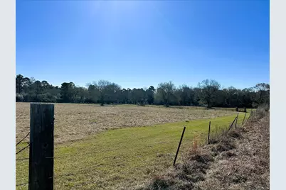 83 Ac Nichols-Sawmill Rd, Magnolia, TX 77355 - Photo 24