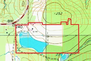 83 Ac Nichols-Sawmill Rd, Magnolia, TX 77355 - Photo 8