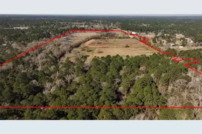 83 Ac Nichols-Sawmill Rd, Magnolia, TX 77355 - Photo 4