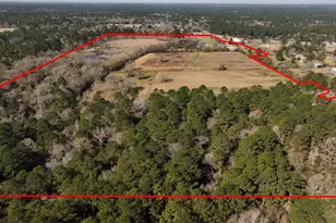 83 Ac Nichols-Sawmill Rd, Magnolia, TX 77355 - Photo 4