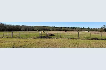 83 Ac Nichols-Sawmill Rd, Magnolia, TX 77355 - Photo 16