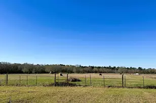 83 Ac Nichols-Sawmill Rd, Magnolia, TX 77355 - Photo 16