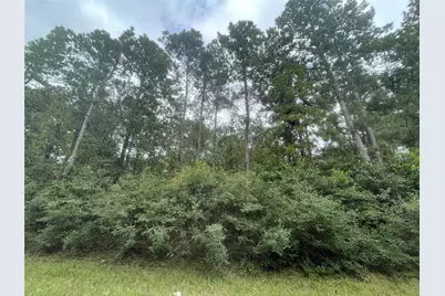 0 Corolla Road, Magnolia, TX 77354 - Photo 6