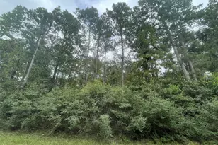 0 Corolla Rd, Magnolia, TX 77354 - Photo 6