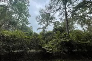 0 Corolla Rd, Magnolia, TX 77354 - Photo 1