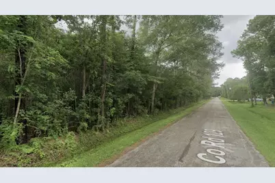 Lot4 County Road 129, Liberty, TX 77575 - Photo 4